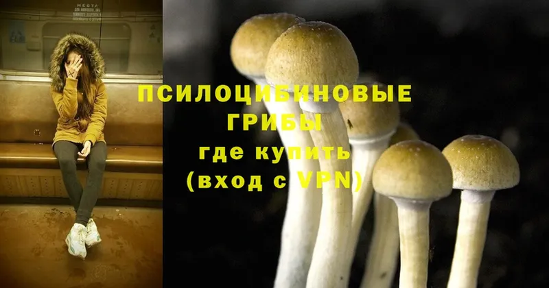 Псилоцибиновые грибы MAGIC MUSHROOMS  hydra tor  Балтийск 